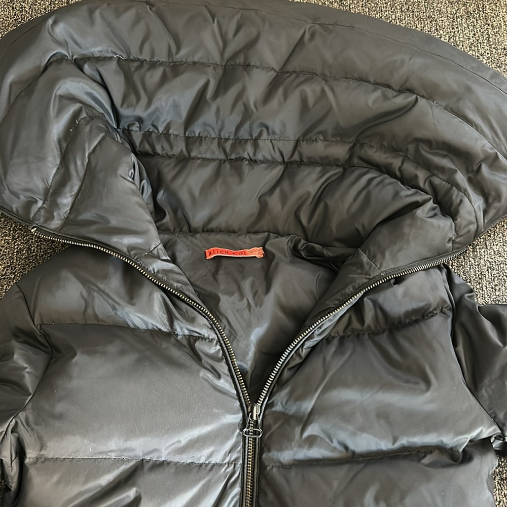 Alice + Olivia Black Puffer Jacket - Picture 10 of 16